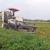 ketutirwi1025