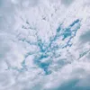 dy8awarytf9c