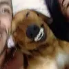 issarobed