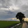 munawraccories223