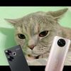 poco_wizard