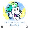 uziel_zavaleta_17
