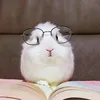 just.puynn