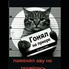 borzik_955