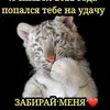 drivenpavel