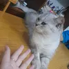 mochitntn