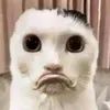 vnixyz_zyx