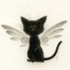 noor_rl_