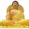 kimhi708