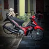 ledat7837