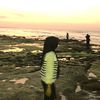 sisukakamu_4