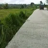 spandi008