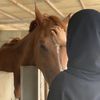 fanzat_alsaad_stables.m