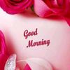 majedmohktar16