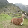 meryjoelopez