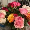 jennifer_all_day