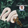 reptilesqc