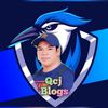 qcjblogs