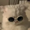 raynuelle_