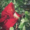 shaima19944