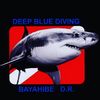 deepbluebayahibe