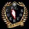 loscuervinesfc