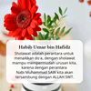 evihanafi74