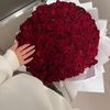 khadijaahmed295