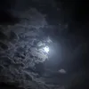 الاسمريْ