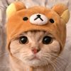 meowshop17
