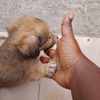 julieagamboue0