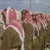 t_fahed