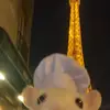 wnldab