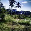 andimulyadi020