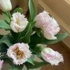 elmaithah88