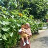 rosegrdi_