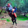 abdullahalsalamh5