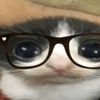 david_bonni0