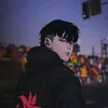 dab33333e