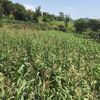 user72zetzm9wu