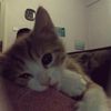 qyse.xmst