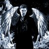 aleoknight10