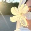 sagitariusgirl061202