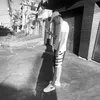 brenner_viana07