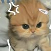 praew_jh