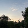 aevandyrn