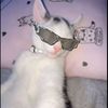 alifia_2193