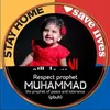 robinahussain278