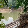 acilusubalangan