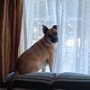 auntkarma_